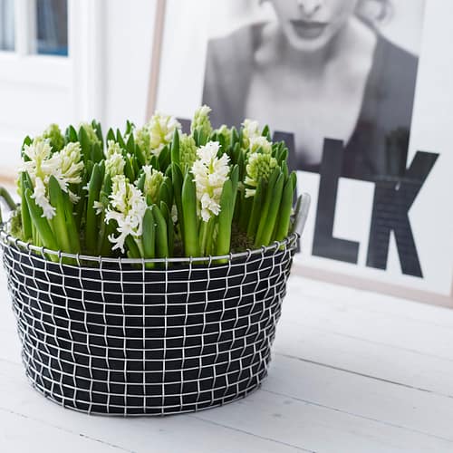 Mand Korbo Classic 35