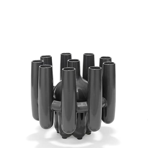 Vaas Roderick Vos Colt